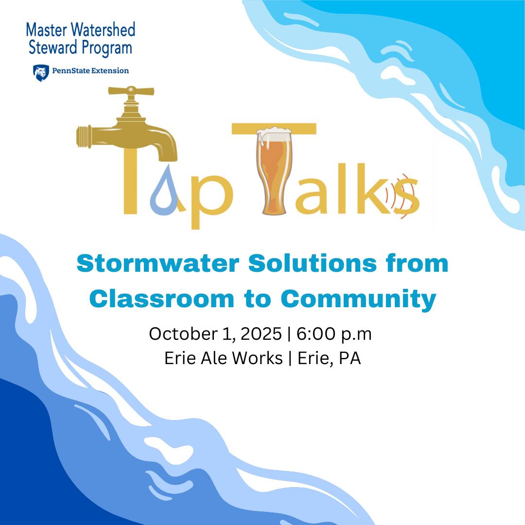 Tap Talk: Deep Dive Into Stormwater Issues