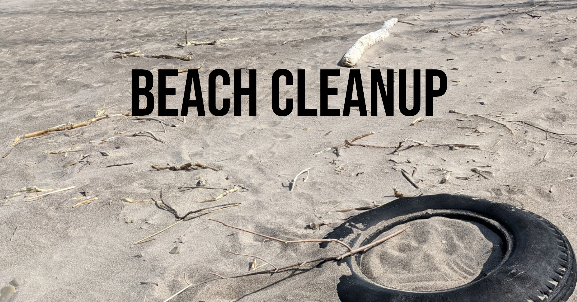 Beach Cleanup