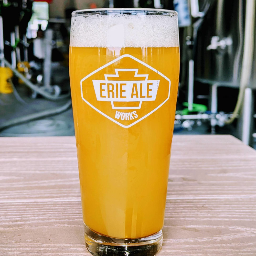 Happy Little Oranges square