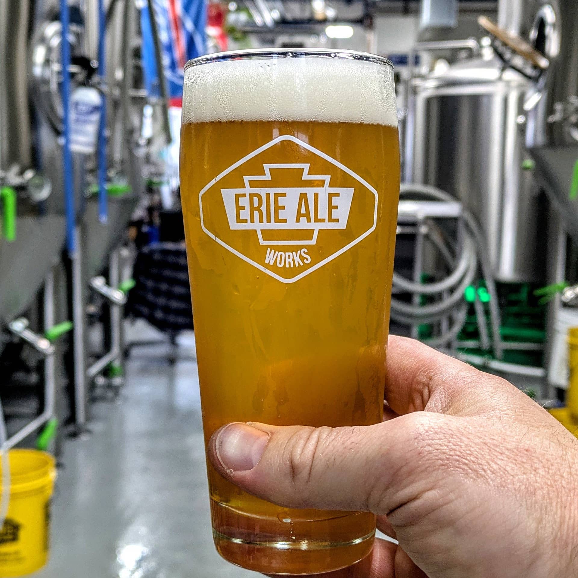 Tangy Zizzle square v3